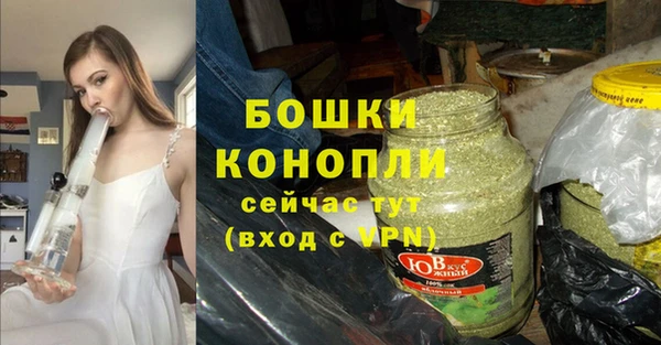 тгк Дмитров