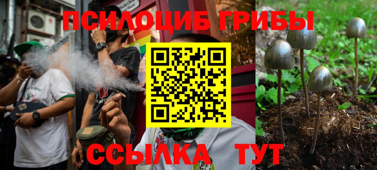 Галлюциногенные грибы мицелий Иркутск