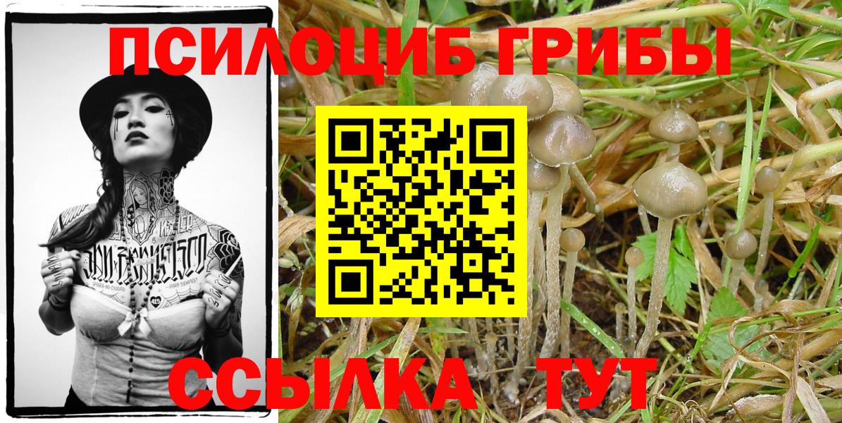цена   Галлюциногенные грибы Cubensis  Вход с VPN  Иркутск 